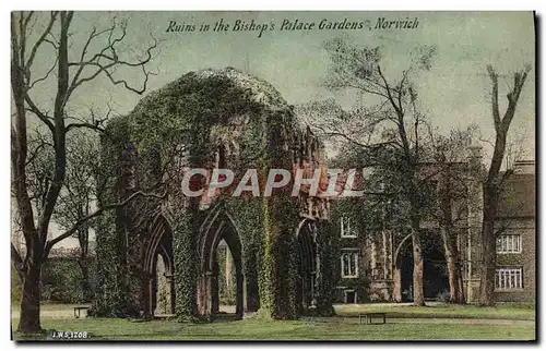 Cartes postales Ruins in The Bishops Palace Gardens Norwich