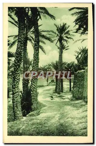 Cartes postales Beni Ounif Palmeraie