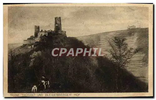 Cartes postales Ruine Thurant Und Bleidnberger Hof