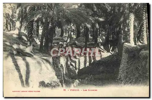 Cartes postales Figuig Les Sources