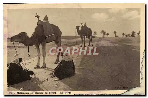 Cartes postales Mokazens en tournee au desert La pause Chameaux