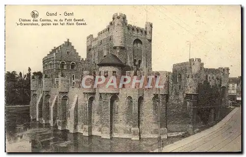 Cartes postales Gand Chateau Des Comtes Vu Du Petit Gewad