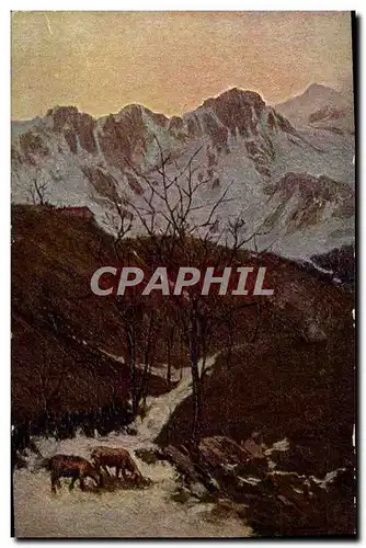Cartes postales Paysage Moutons