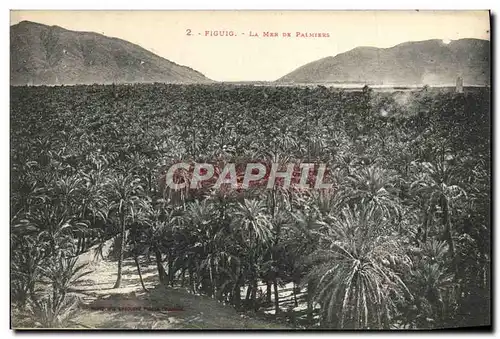 Cartes postales Figuig La Mer De Palmiers