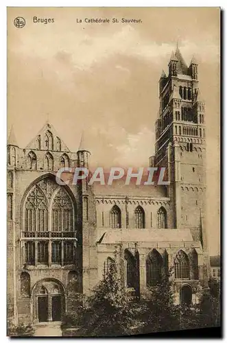 Cartes postales Bruges La Cathedrale St Sauveur