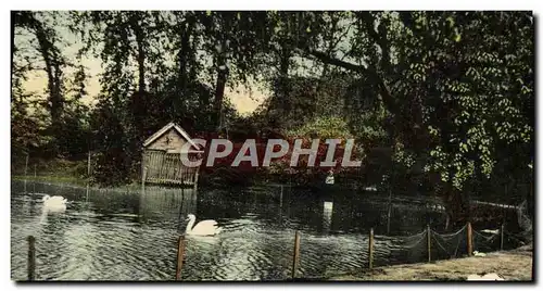 Cartes postales Birmingham The duck pond