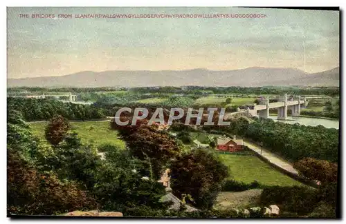 Cartes postales The Bridges From Llanfairpwllgwunggyllgogery Gogogoch
