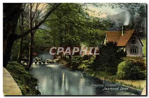 Cartes postales Stepping Stones Jesmond Dene