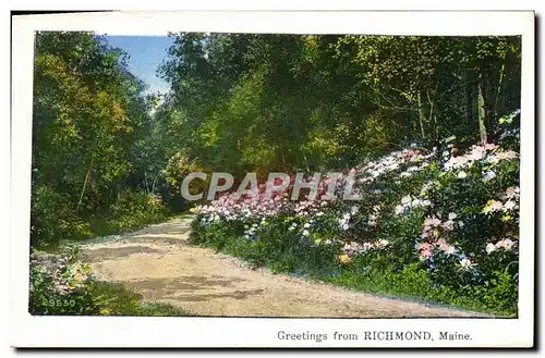 Cartes postales Greetings From Richmond Maine