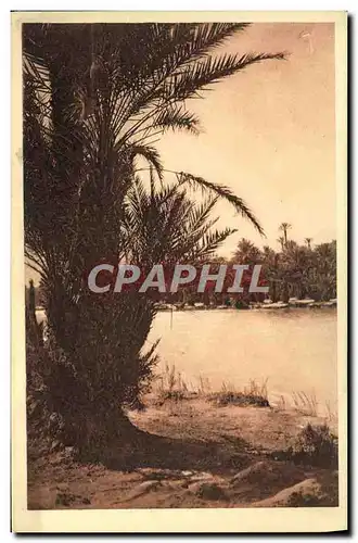 Cartes postales Colomb Bechar La Riviere Sri Lanka
