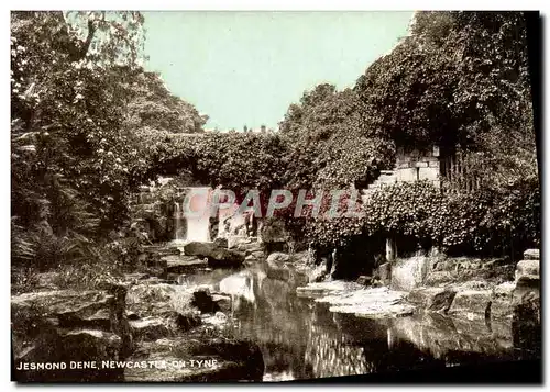 Ansichtskarte AK Jesmond Dene Newcastle On Tyne