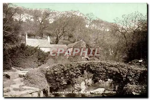 Ansichtskarte AK Jesmond Dene Old Mill Newcastle On Tyne