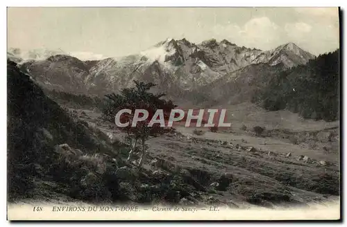 Ansichtskarte AK Environs Du Mont Dore Chemin De Sancy