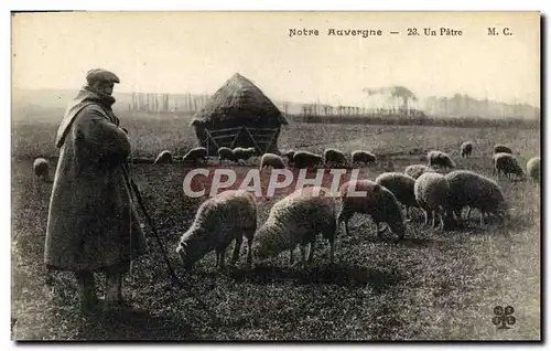 Cartes postales Notre Auvergne Un Patre Berger Moutons Folklore