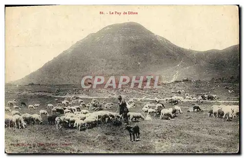 Ansichtskarte AK Le Puy De Dome Berger Moutons