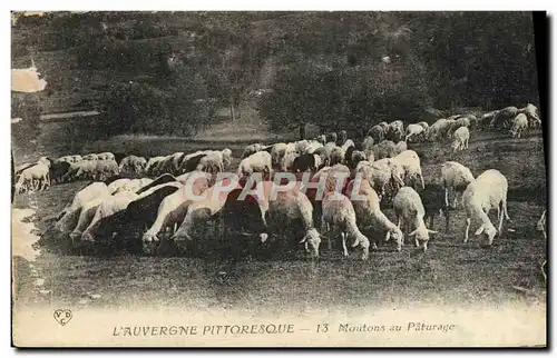 Cartes postales L&#39Auvergne Pittoresque Monument Au Paturage