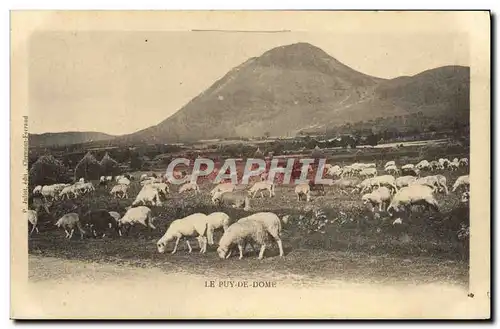 Ansichtskarte AK Le Puy De Dome Moutons