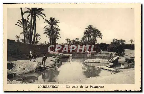 Ansichtskarte AK Marrakech Un Coin de la Palmeraie