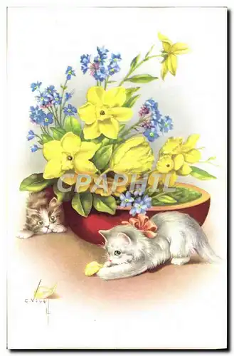 Cartes postales Fantaisie Chat Chaton