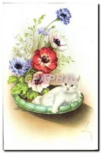 Cartes postales Fantaisie Chat Chaton