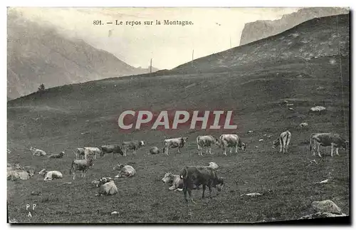 Cartes postales Le Repos Sur La Montagne Vaches