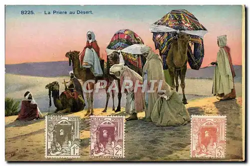 Cartes postales La Priere Au Desert Chameaux