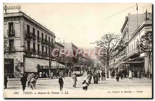 Cartes postales Tunis Avenue De France Tramway