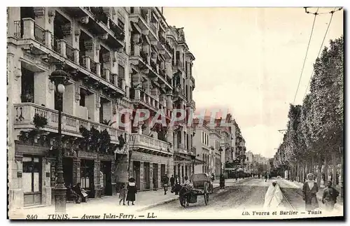 Cartes postales Tunis Avenue Jules Ferry