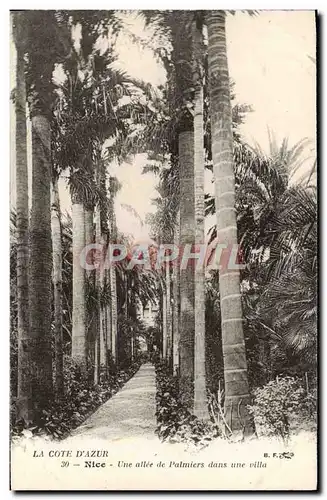 Cartes postales La Cote d&#39Azur Nice Une Allee De Palmiers Dans Rue Villa