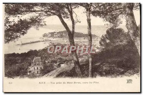 Cartes postales Nice Vue Prise Du Mont Boron Entre Les Pins