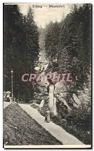 Cartes postales Triberg Wasserfall