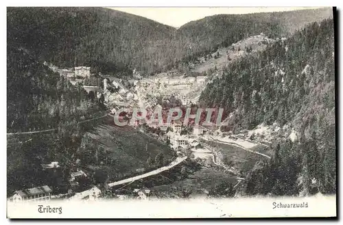 Cartes postales Triberg Schwarzwald