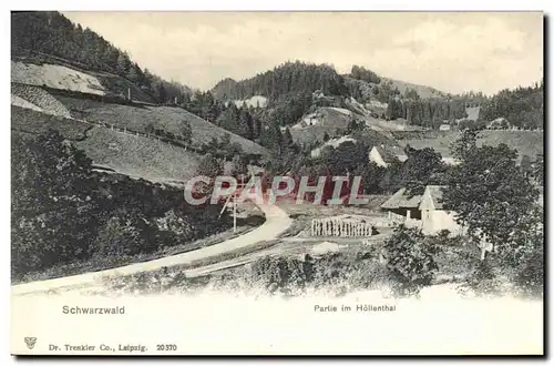 Cartes postales Schwarzwald Partie Im Hollenthal