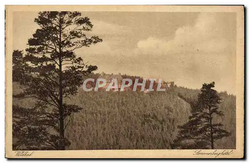 Cartes postales Wildbad Sommerberghotel