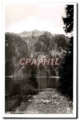 Cartes postales Feldsee Schwarzwald