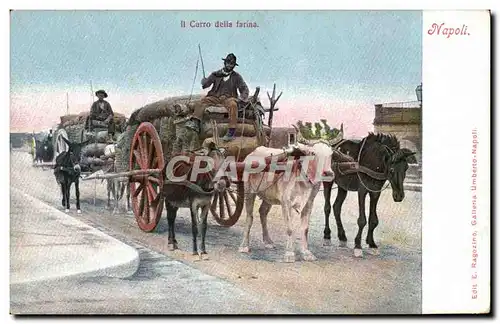 Cartes postales Napoli Ii Carro Della Farina Boeufs Attelage Ange Mule