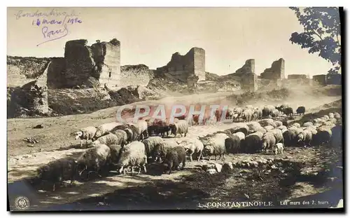 Ansichtskarte AK Constantinople Les Murs des 7 tours Moutons Turquie