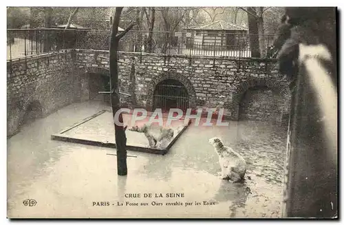 Ansichtskarte AK Paris La Fosse Aux Ours Envahie Par les Eaux Crue de la Seine