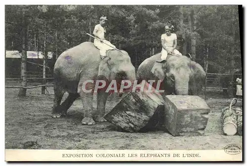 Ansichtskarte AK Paris Exposition Coloniale Les Elephants De l&#39Inde Elephant