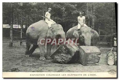 Cartes postales Paris Exposition Coloniale Les Elephants De l&#39Inde Elephant