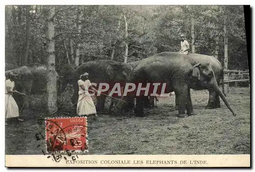 Ansichtskarte AK Paris Exposition Coloniale Les Elephants De l&#39Inde