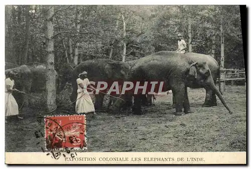 Cartes postales Paris Exposition Coloniale Les Elephants De l&#39Inde