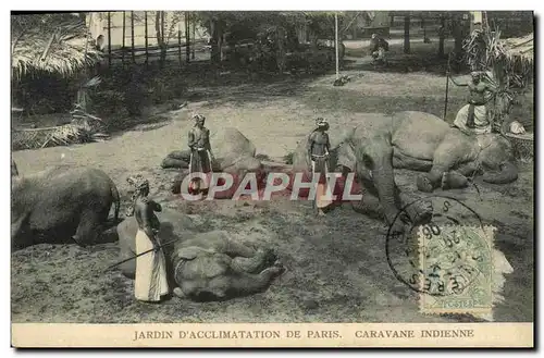 Cartes postales Paris Jardin D&#39Acclimatation Caravane indienne Elephant Elephants