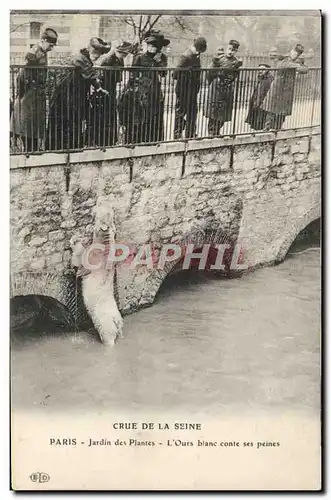 Ansichtskarte AK Paris Crue de la Seine Jardin des plantes L&#39ours blanc conte ses peines