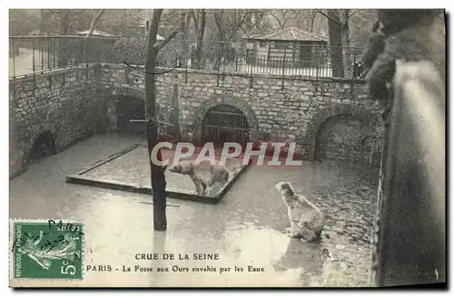 Cartes postales Paris Jardin des Plantes La fosses aux ours envahie par les eaux