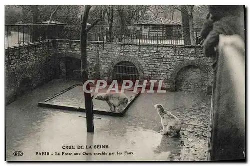 Cartes postales Paris Jardin des Plantes La fosses aux ours envahie par les eaux