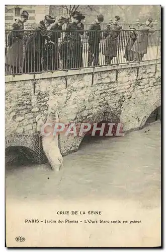 Cartes postales Paris Jardin des Plantes Crue De La Seine L&#39ours blanc conte ses peines