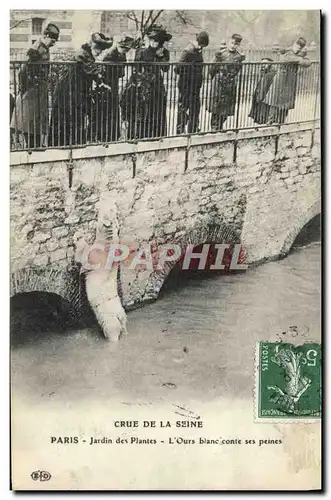 Cartes postales Paris Jardin des Plantes Crue De La Seine L&#39ours blanc conte ses peines