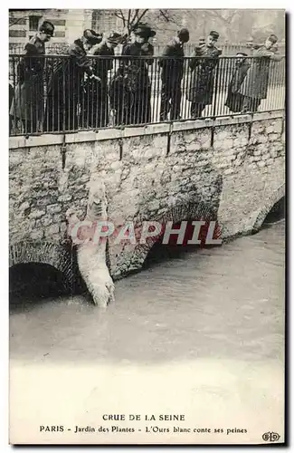 Ansichtskarte AK Paris Jardin des Plantes Crue De La Seine L&#39ours blanc conte ses peines