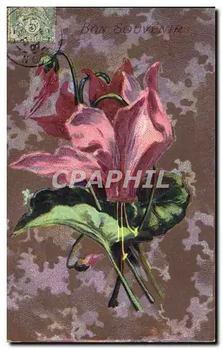 Cartes postales Fantaisie Fleurs